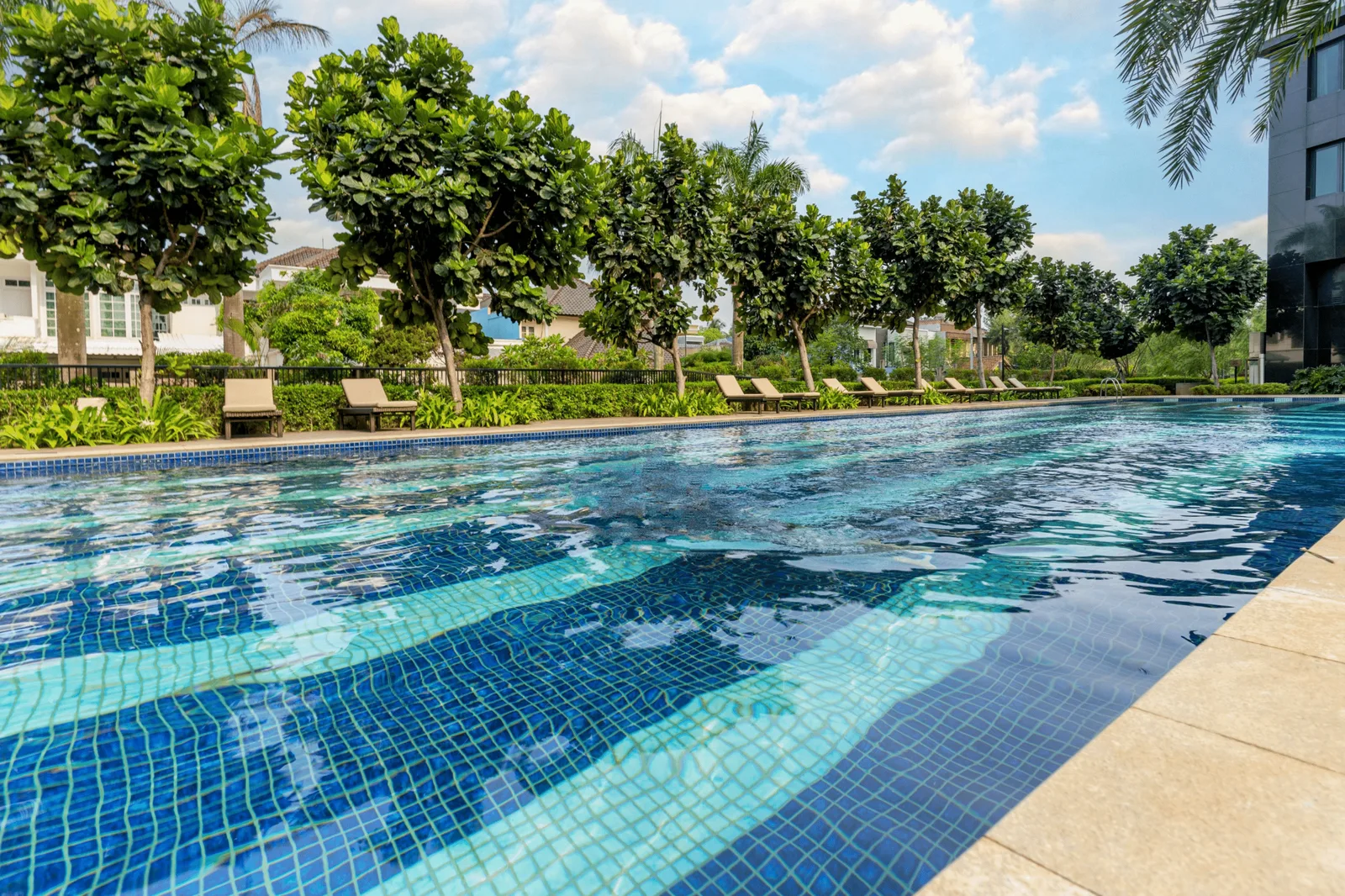 Semi Olympic Pool 50 Meter Southgate Residence Jakarta Selatan